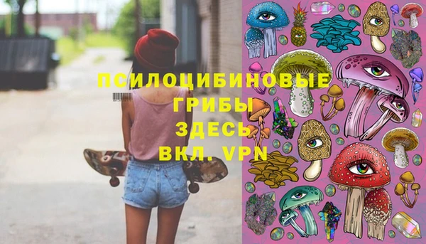 синтетический гашиш Елизово