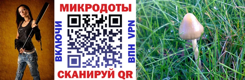 где можно купить наркотик кракен tor Псилоцибиновые грибы Psilocybine cubensis Орск