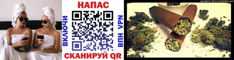 Конопля гибрид  Орск 